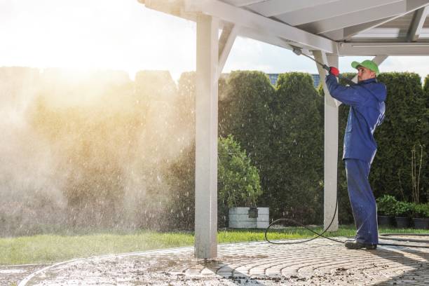 Best Roof Washing  in Vernon Valley, NJ
